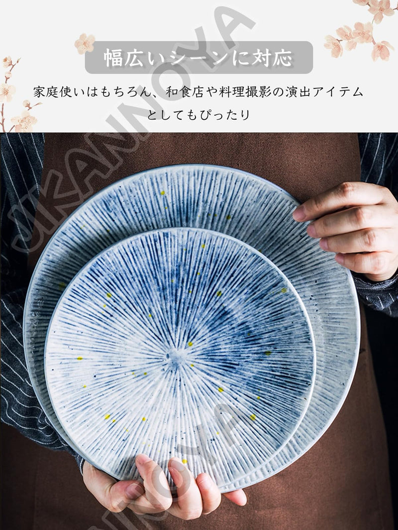 JIKANNOYA 丸皿 焼物皿 ケーキ皿 パスタ皿 プレート 焼き物皿 デザートプレート 取り皿 刺身皿 和食器 和皿 魚 皿 お皿 食器 魚焼き器 dish 大皿 丸 陶器 陶盤 割れない 耐熱 電子レンジ 食洗機対応 和風 あじわい おしゃれ 業務用 レストラン 居酒屋 TCPYX03
